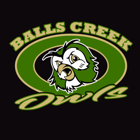 Holiday Ornament Painting - Balls Creek Elementary School