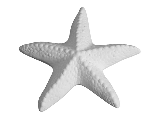 Spiny Starfish